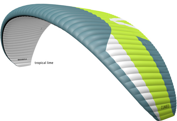 tropical lime